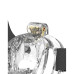 PCage PC10 Pussy Transparent
