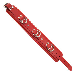 Red Padded Collar