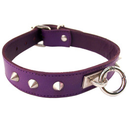 Purple Studded ORing Studded Collar