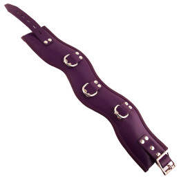 Purple Padded Posture Collar