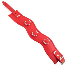 Red Padded Posture Collar