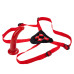 Sophias Red Rider Strap On Dildo